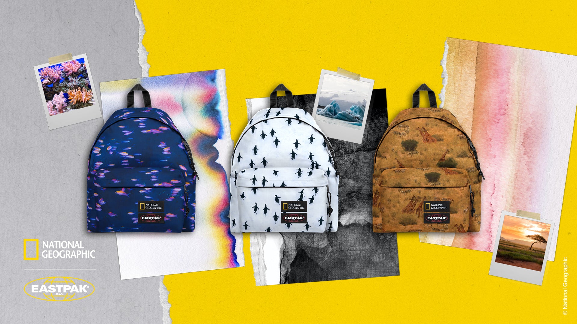 National Geographic Prints x Eastpak